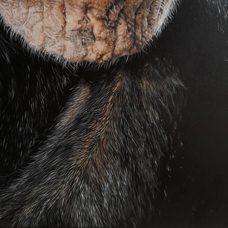 Original Contemporary Animal Painting by Claudia Daminato