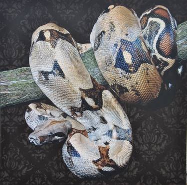 Original Contemporary Animal Paintings by Claudia Daminato