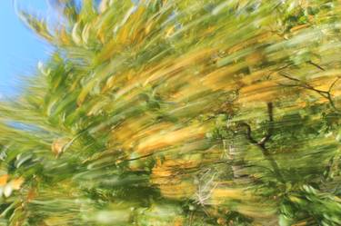 Print of Abstract Expressionism Botanic Photography by Brian Spiral