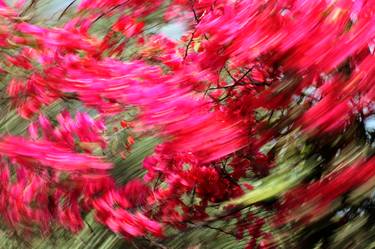 Print of Abstract Expressionism Sport Photography by Brian Spiral