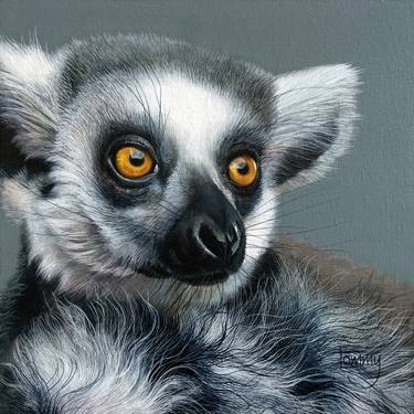 Starry Starry eyes (ring tailed lemur) thumb
