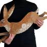 Lepus the swift hare. Celestials collection.