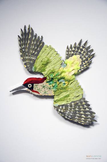 Green Woodpecker. Volatiles collection. thumb