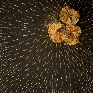 Gold Dust Override