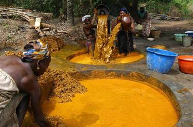 Production of palm oil in Nigeria thumb