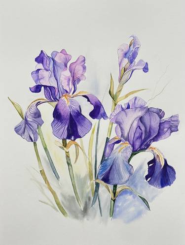 Original Illustration Floral Paintings by Larisa Robins