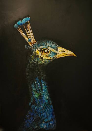 Peacock on black thumb