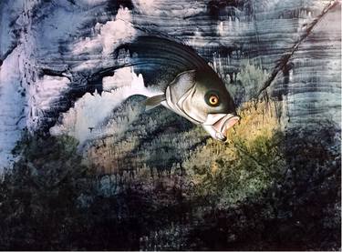 Original Figurative Fish Paintings by Edward Joseph