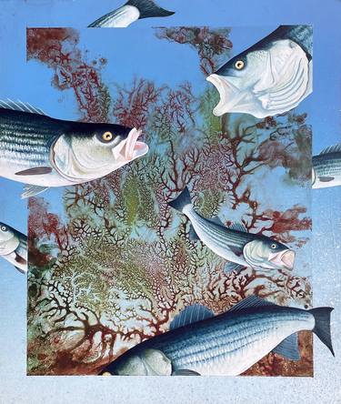 Original Abstract Fish Paintings by Edward Joseph
