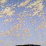 Collection LANDSCAPES