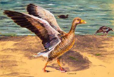 Gray wild goose. Pastel painting. Realism. thumb