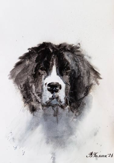 Dog of the Landseer breed. Watercolor drawing. Portrait. thumb