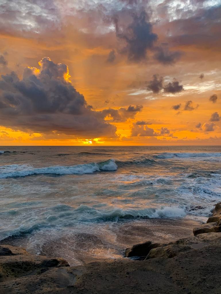 Original Nature Photography by Darya Insight | Documentary Art on Paper | THE BLISS OF COLORS