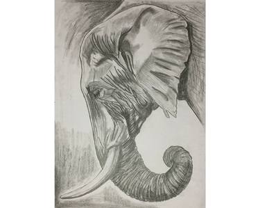 Print of Art Deco Animal Drawings by Nipuna Nawshan