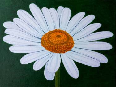 Original Floral Paintings by Carlos Almor