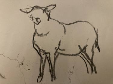 Original Animal Drawing by Deborah Lovett