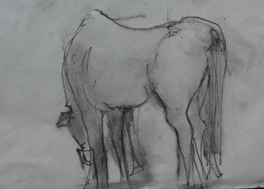 Original Animal Drawing by Deborah Lovett