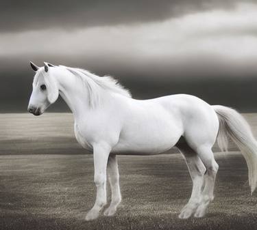 Print of Art Deco Horse Photography by Faisal Shah