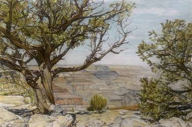 Original Landscape Drawings by Darrell Windjack