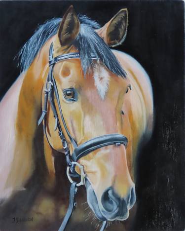 Original Realism Horse Paintings by Jacki Welch