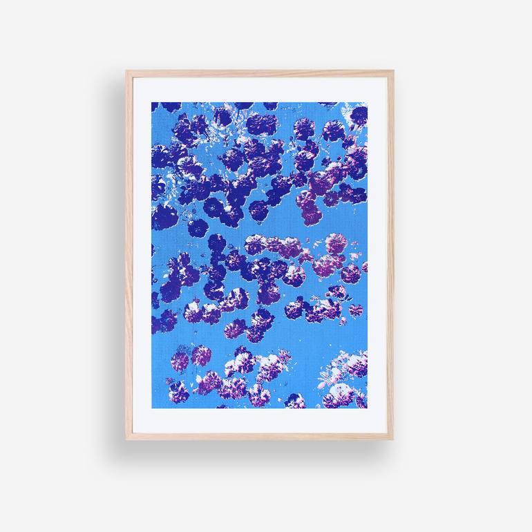 Original Abstract Floral Printmaking by Marie Devaux