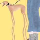 ‘He Has Sensitive Paws, Actually!’ - Limited Edition of 25 Print by James Brookman