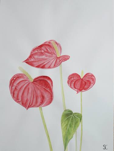 Print of Botanic Paintings by Sabine Chauvin