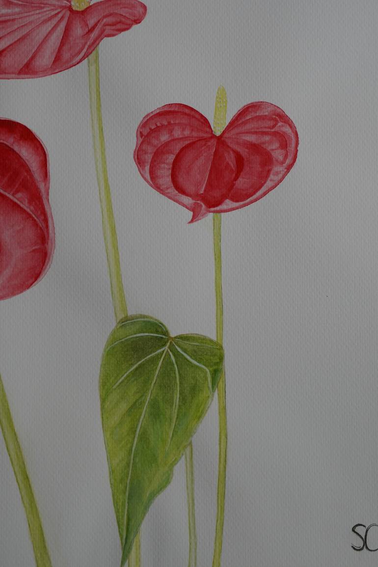 Original Illustration Botanic Painting by Sabine Chauvin