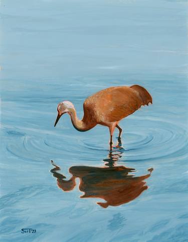 Sandhill Crane and its reflection thumb