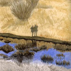 Shadows on a field