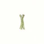 Tied Asparagus by Sarah Smith