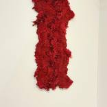Hot Flash, Slow Burn by Candice Brokenshire