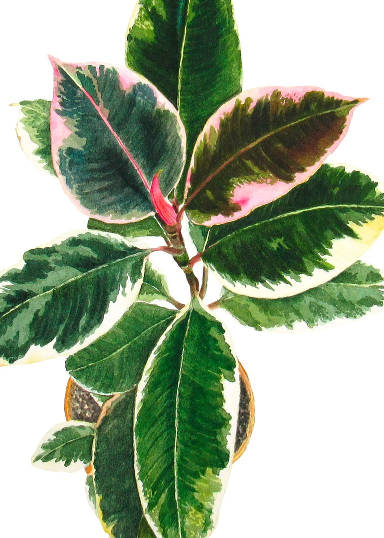 Original Illustration Botanic Painting by Liudmyla Lobza