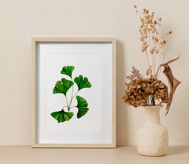 Original Illustration Botanic Painting by Liudmyla Lobza