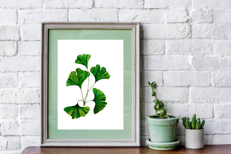 Original Illustration Botanic Painting by Liudmyla Lobza