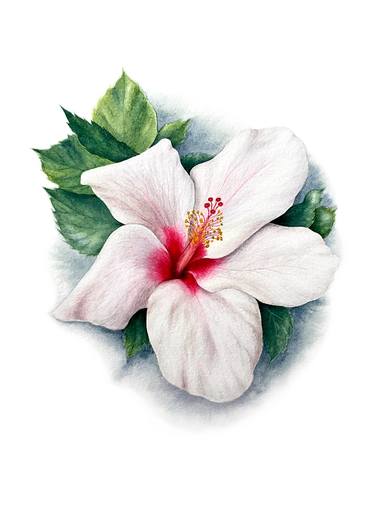 Hibiscus 3 original white sunny watercolor flower and leaves thumb