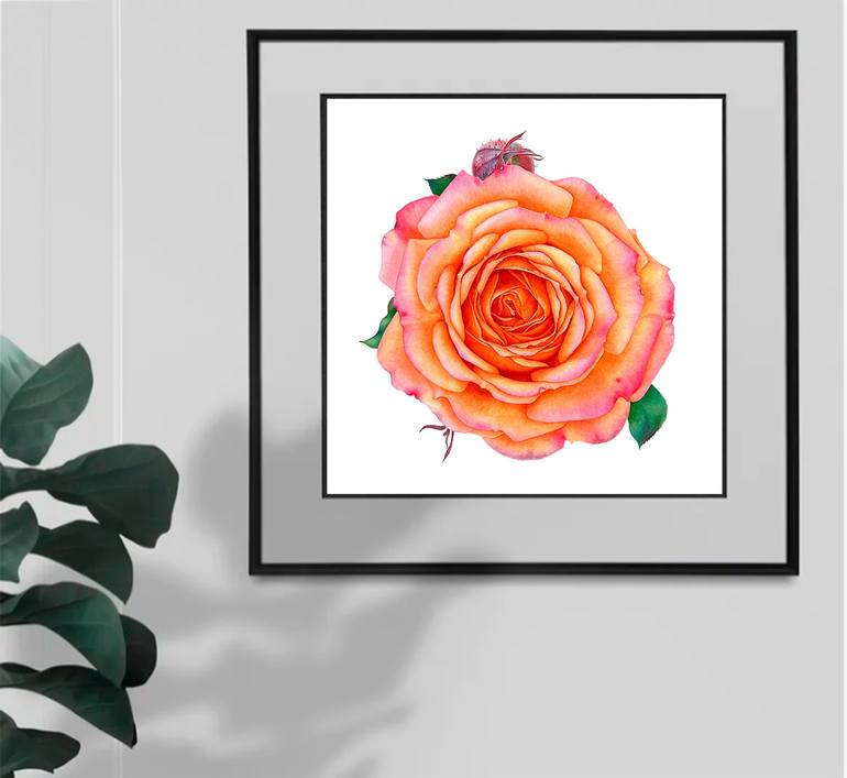 Original Floral Painting by Liudmyla Lobza