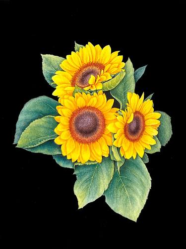 Sunflowers - yellow bright watercolor flowers and green leaves thumb