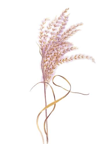 Spikelet - original weightless and translucent watercolor plant thumb