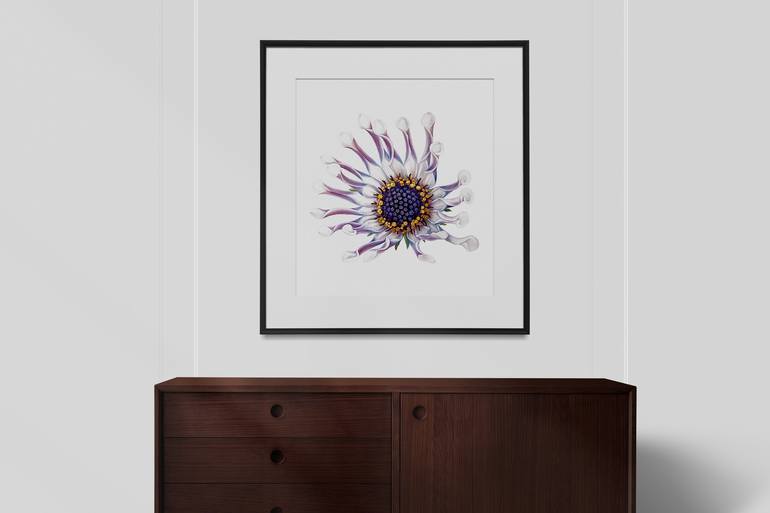 Original Floral Painting by Liudmyla Lobza