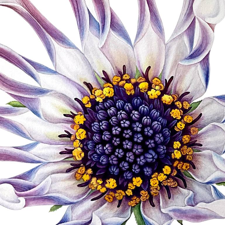 Original Floral Painting by Liudmyla Lobza