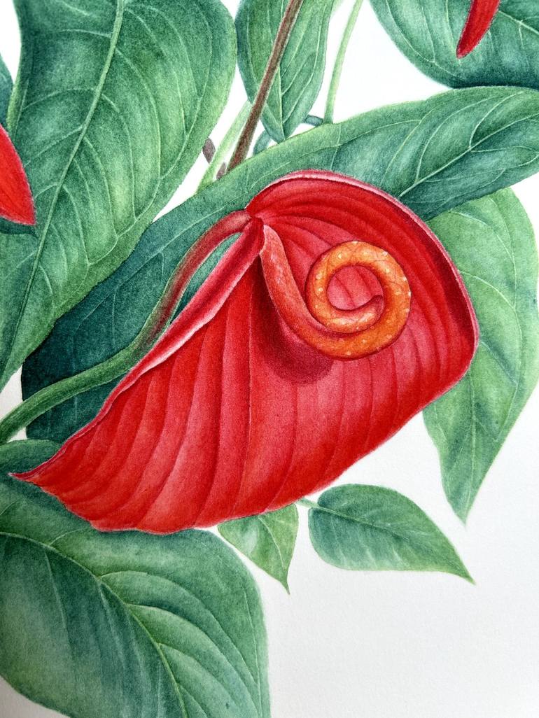 Original Illustration Floral Painting by Liudmyla Lobza