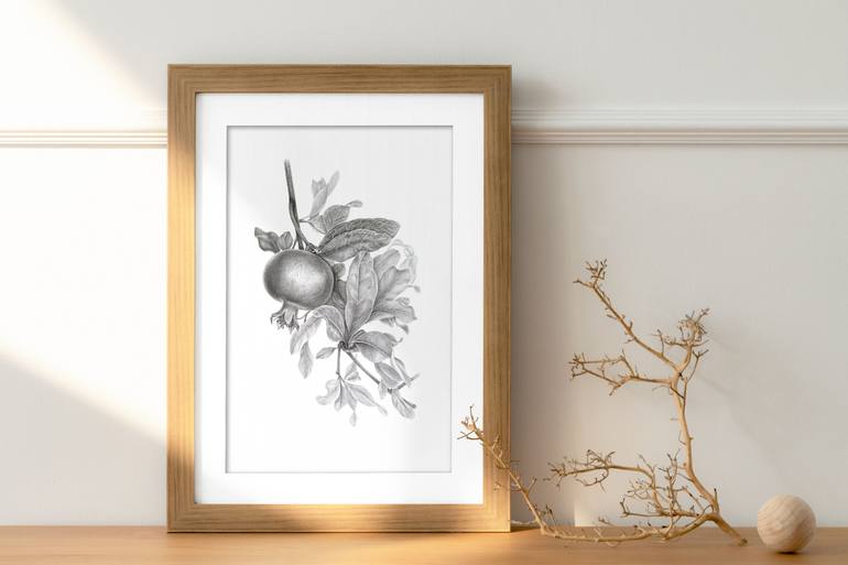 Original Illustration Nature Drawing by Liudmyla Lobza