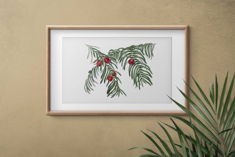 Original Illustration Botanic Painting by Liudmyla Lobza