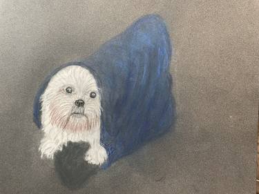 Original Portraiture Dogs Drawings by Dale Huffman