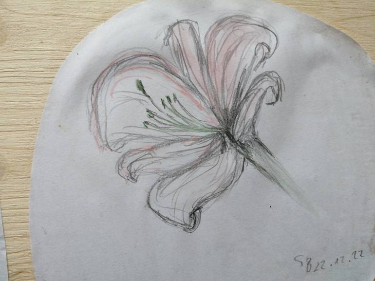 Original Botanic Drawing by Syelle Beutnagel