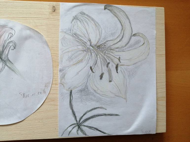 Original Botanic Drawing by Syelle Beutnagel