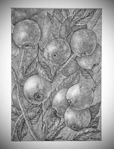 Print of Conceptual Botanic Drawings by ANEROSH Art