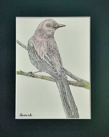 Original Figurative Animal Drawings by ANEROSH Art