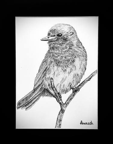 Original Animal Drawings by ANEROSH Art